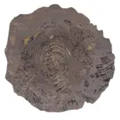 Exceptional Bizzotto Italia Lignum rug replicates burl wood with varied piles in rustic grey and brown tones evoking a tree trunk’s organic quality