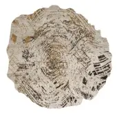 Captivating Bizzotto Italia Lignum rug replicates burl wood with intricately woven yarns in light beige and brown accents