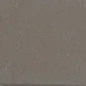 Leather texture in muted gray-brown, displaying a subtle grain and mottled appearance with a matte finish; label reads "cprn homood leather cl2000 col. 23".