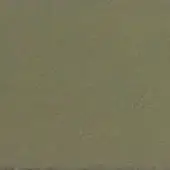 Olive-green leather swatch displaying a granular matte texture, labeled “cprn homood > leather (a) > cl2000 col. 35” in the lower left corner.