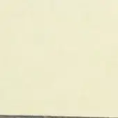 Leather texture close-up, off-white with subtle mottling, horizontal dark band, CPRN Homood CL2001 "col" designation imprinted.