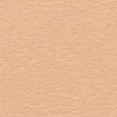 Light tan leather texture with granular surface, CPRN Homood branding, CL2021 collection color 151, diffused lighting, muted beige tones.