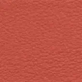Leather sample, terracotta color, granular texture; CPRN Homood material labeled “cl2021 col. 155” against a neutral backdrop.