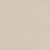 CPRN Homood leather texture, neutral beige tone, finely granular surface with collection label “cl2021 col. 179” in lower left corner.