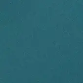 Teal leather texture with matte finish, irregular patterns, and code “cl2021 col. 196” text, CPRN Homood swatch sample.