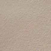 Beige stucco texture with granular pattern, matte finish, and code “cl2021 col. 198” indicating a CPRN Homood leather sample.