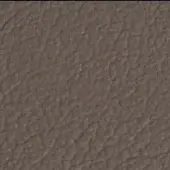 Brown leather texture sample displaying a mottled surface with irregular lines and a matte finish, identified as cl2021 col. 282.