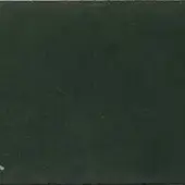 Dark green leather texture swatch with subtle grain, matte finish, and slight color variations; small white mark present in corner.