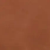 CPRN Homood leather sample, reddish-brown color, granular texture with collection details “CL2006 col. 0329” visible in the corner.
