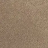 Tan leather texture with irregular grain, fine lines, and a matte finish; CPRN Homood CL2009 col. 3416 sample displaying a warm, muted brown tone.