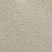 Light beige outdoor leather texture with a subtly pebbled grain, matte finish, and consistent quality; CPRN Homood collection, color 205.