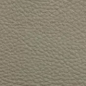 Beige leather texture sample with a granular, pebbled surface and matte finish, presented for outdoor applications and tonal variations.