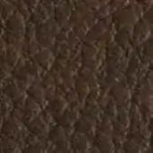 Brown woven textile sample with looped construction, displaying a rough, mottled surface and warm chocolate tones; CPRN Homood collection.