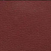 Reddish-brown leather texture swatch, matte finish, granular grain, CPRN Homood outdoor collection co1015 col. 214, neutral background.