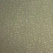 Leather texture swatch, light olive-green, pebbled grain with matte finish and faint “cprn homood” text at the bottom.