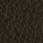 Dark brown leather texture sample with irregular ridges, displaying a natural grain and subtle tonal variations; CPRN Homood, cl2023 col. 5067.