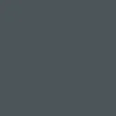 Iron grey solid color background with a matte finish, presenting a uniform and consistent tone throughout the composition’s visual field.