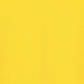 Yellow eco leather texture with a diagonal woven pattern, displaying brand text “pacini & cappellini” in the lower right corner.