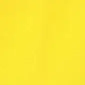 Yellow eco leather texture with granular surface, displaying consistent saturated color and diffused lighting; text reads “pacini & cappellini”.