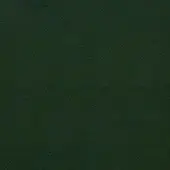 Dark green eco leather texture with a repeating diamond pattern, matte finish, and imprinted “pacini & cappellini” branding detail.