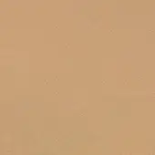 Eco leather texture, neutral tan color, fine grain pattern, matte finish, durable surface suitable for upholstery applications.