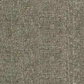 Olive-green fabric sample with dense woven texture, speckled granular effect, and subtle tonal variations; “pacini & cappellini” a36 printed below.
