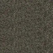 Charcoal gray fabric sample displaying a dense, heathered weave texture with subtle beige variations; matte finish, studio shot, labeled ‘pacini & cappellini’.