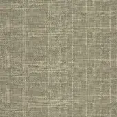 Woven fabric sample, warm gray with beige, displays a textured grid pattern and subtle weave variations; pacini & cappellini branding present.