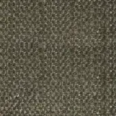 Olive green fabric texture, granular weave with brown and gray mottling, close-up view displaying ‘pacini & cappellini’ label detail.