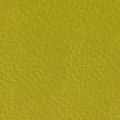 Yellow-green leather texture with granular grain, matte finish, and pebbled surface; displays “pacini & cappellini” branding.