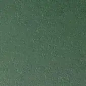 Pacini & Cappellini leather sample, dark green Assenzio 9055, exhibiting a dense, matte, bumpy texture suitable for upholstery applications.