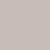 Neutral gray-taupe color field, matte finish, uniform tone, full frame composition, simple backdrop, understated visual texture, quiet neutrality.
