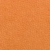 Acacia 9009 leather texture, orange granular surface, matte finish, Pacini & Cappellini collection, subtly pebbled and uniformly tactile.