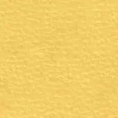 Pacini & Cappellini Ambra 9003 leather texture, golden-yellow, distressed grain with matte finish and dense, irregular creasing.