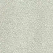Pacini & Cappellini avio 9040 leather texture, pale blue-gray, dense interwoven grain, matte finish, subtly pebbled surface.