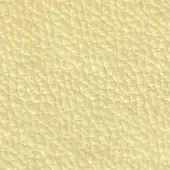 Pale yellow leather texture with dense pebble grain, matte finish, and subtle tonal variations; pacini & cappellini Dalia 9001 sample.