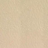 Beige pebble-grain leather texture with fine linear pattern against white, showing subtle sheen and smooth surface, material sample.