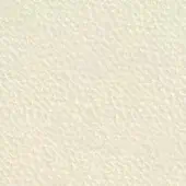 Leather texture sample, cream botticino 9010, fine grain with matte finish and subtle tonal variations for nuanced depth.