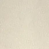 Pacini & Cappellini leather sample, light beige, distressed texture with irregular bumps and matte finish, identified as “Calcare 9043”.