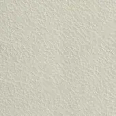 Light gray leather texture with a fine, pebbled grain and matte finish; includes “pacini & cappellini > leather > carrara 9015” text.
