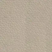Pacini & Cappellini leather texture, light beige, irregular grain with angled ridges, matte finish, warm neutral tone, Elefante 9016.