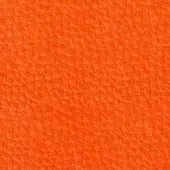Orange leather texture, pebble grain, matte finish; Pacini & Cappellini “mango 9005” color, consistent granular pattern, diffuse lighting.