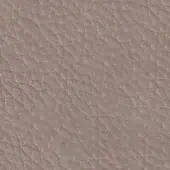 Leather texture, light taupe, mottled surface with irregular grain and diamond indentations, matte finish for upholstery applications.