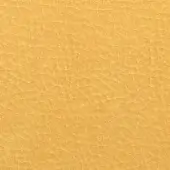 Sahara 9028 leather texture, golden-yellow matte finish, irregular grain pattern with intersecting lines and subtle undulations from Pacini & Cappellini.