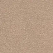 Leather texture sample, light beige with tonal variations, displaying a dense, irregular grain pattern and matte finish.