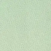 Pale mint green leather texture with fine grain, matte finish, and subtle mottled tone displaying a dense pore network.