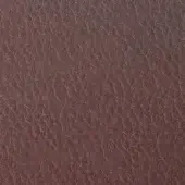 Leather texture sample, vinaccia 9021, displays a deep brown color with a dense, pebbled grain and matte finish.