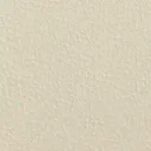 Beige leather texture with irregular grain, featuring interwoven lines and small indentations, creating a matte, subtly uneven surface.