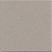 Wood paneling, warm gray finish, textured grain with horizontal lines and distressed appearance against a white backdrop.