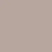 Warm taupe color field, l3 cappuccino shade, smooth matte surface, even lighting, consistent tone, uniform composition, neutral background.